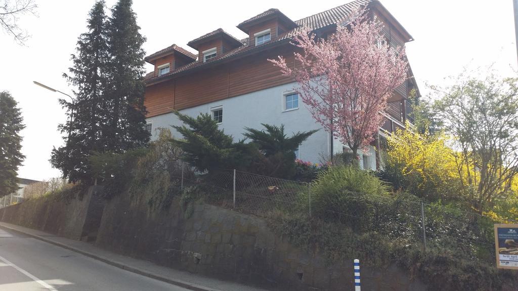 Mayerhofer House Linz Exterior photo